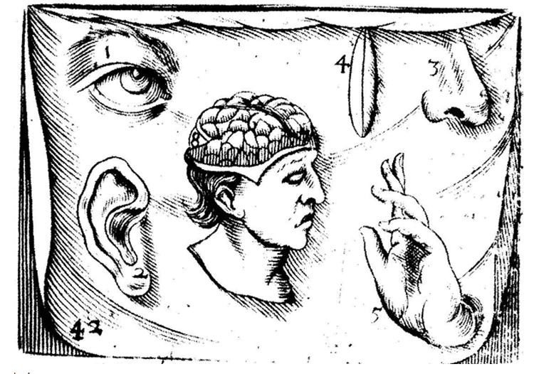 1012430_572274839481639_565357694_n